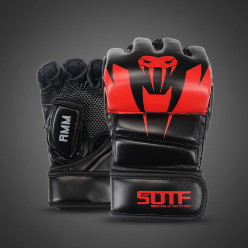 Variante 2 – SOTF-ST3-D